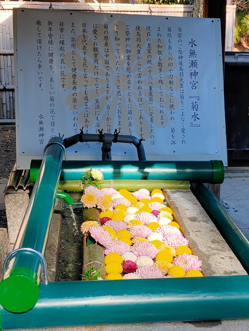 みやびんさんの昭和湯のサ活写真