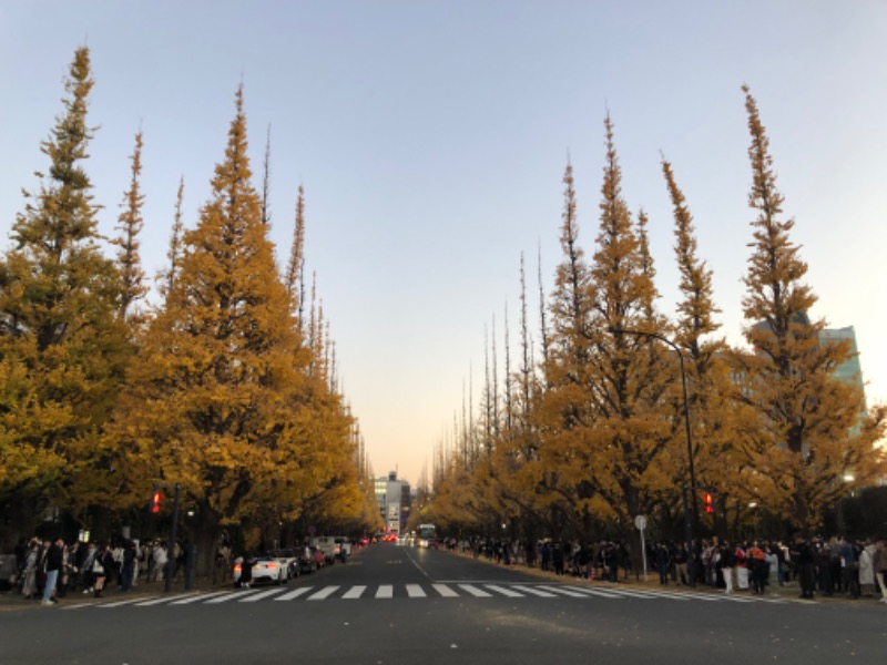 ノーサイドさんのラビスタ東京ベイのサ活写真