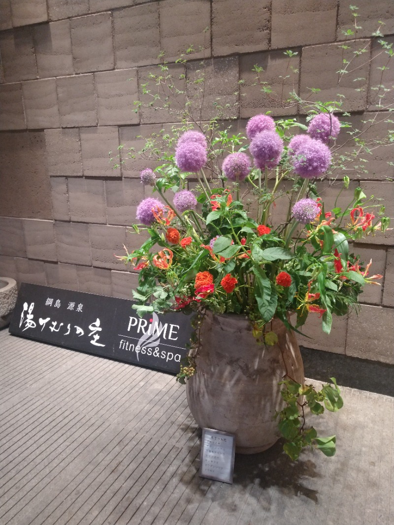 Lupin-Daさんの綱島源泉 湯けむりの庄のサ活写真