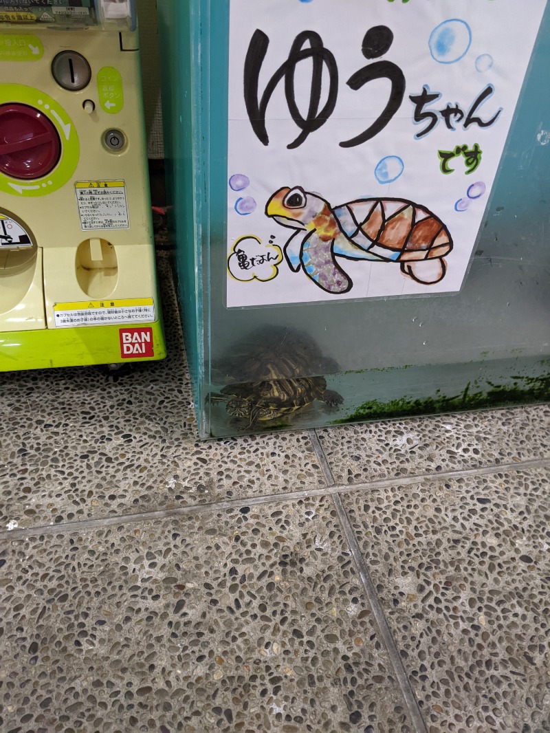 ミさんのピュア涌泉寺のサ活写真