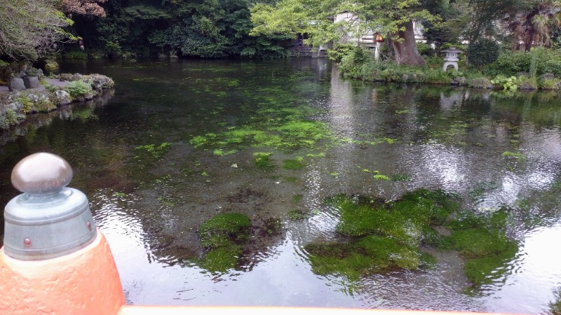 きんのじさんの富嶽温泉 花の湯のサ活写真
