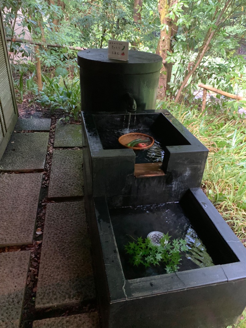 hirobumiさんの天山湯治郷 ひがな湯治 天山のサ活写真