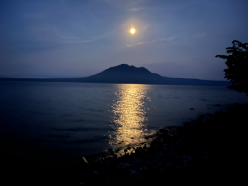 たくあんぽりぽり✌️さんの湖畔の宿支笏湖 丸駒温泉旅館のサ活写真