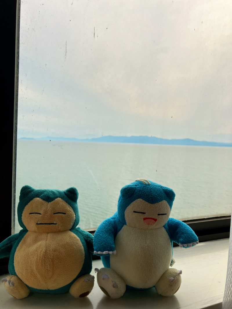 マリアンヌ@ﾊﾗﾀﾞｲｺﾄﾞﾝﾄﾞﾝさんのグランドメルキュール琵琶湖リゾート&スパ(旧ホテル&リゾーツ 長浜)のサ活写真