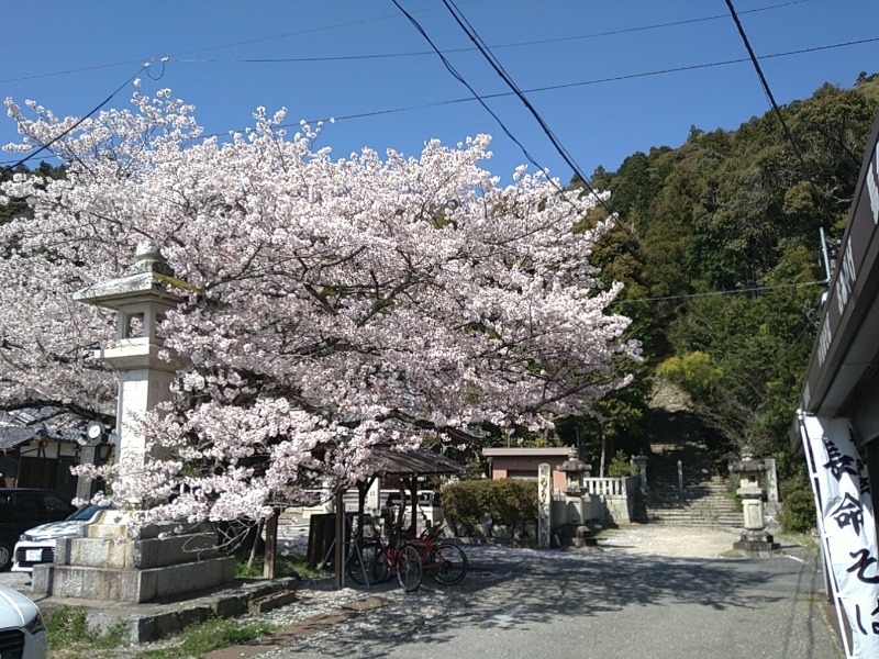 カチュネバ！さんの長命寺温泉 天葉の湯のサ活写真