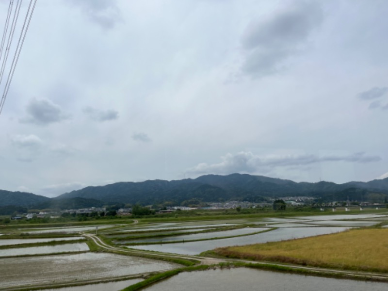 つなしさんの水口温泉つばきの湯のサ活写真