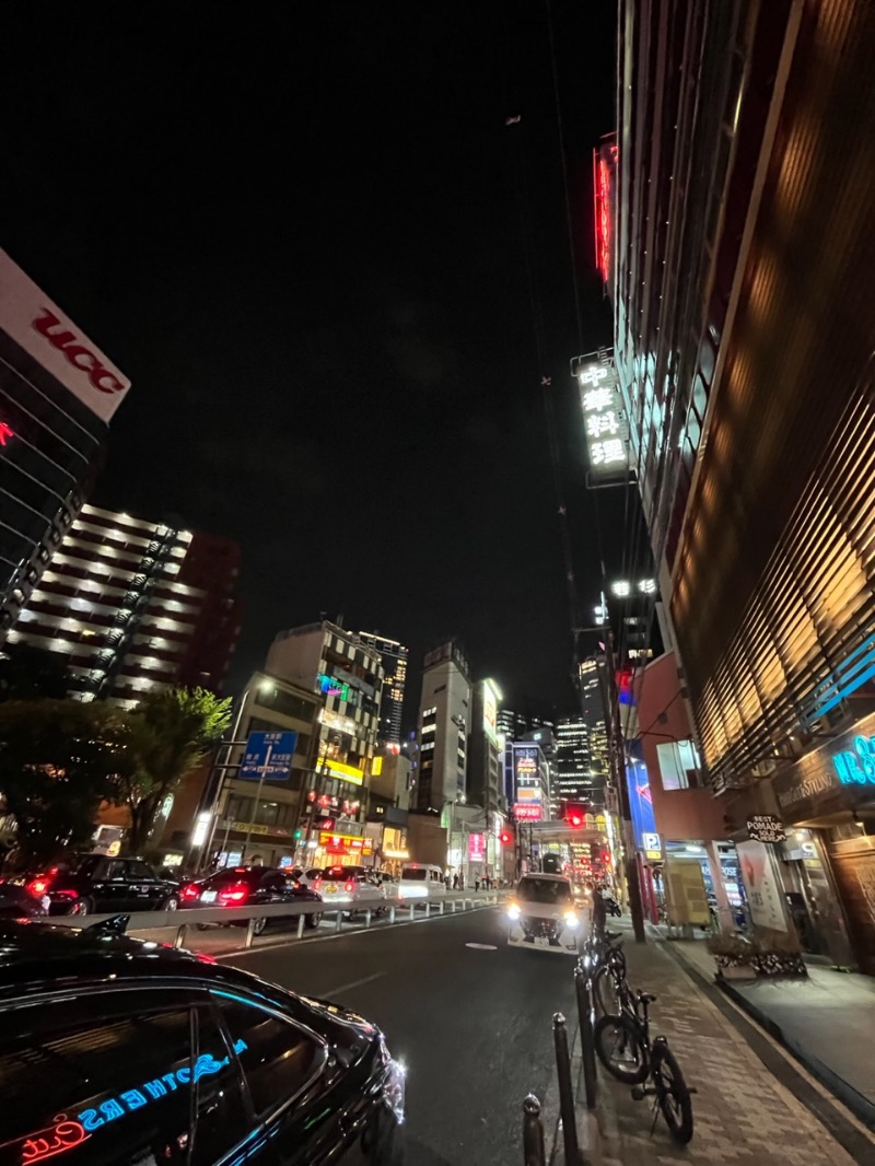 つなしさんのサウナ&スパ カプセルホテル 大東洋のサ活写真