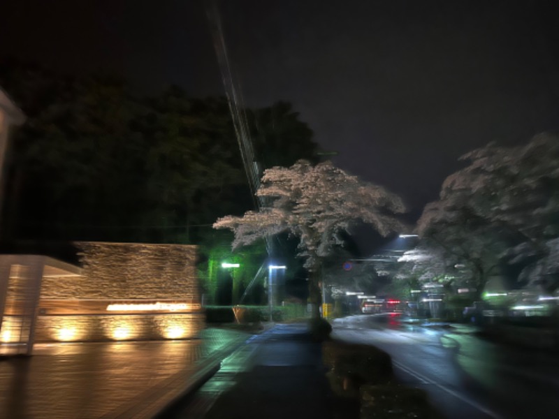 サウナ1013さんの天然温泉 富士桜の湯 ドーミーインEXPRESS富士山御殿場のサ活写真