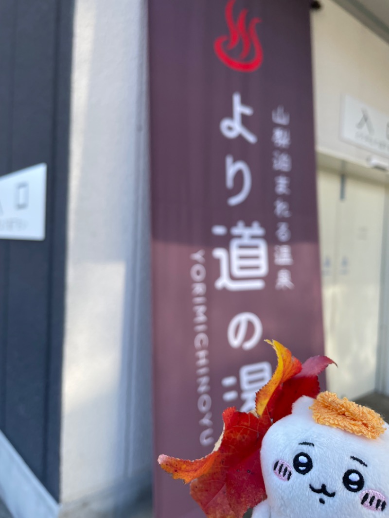 ＡＫＰさんの山梨泊まれる温泉 より道の湯のサ活写真