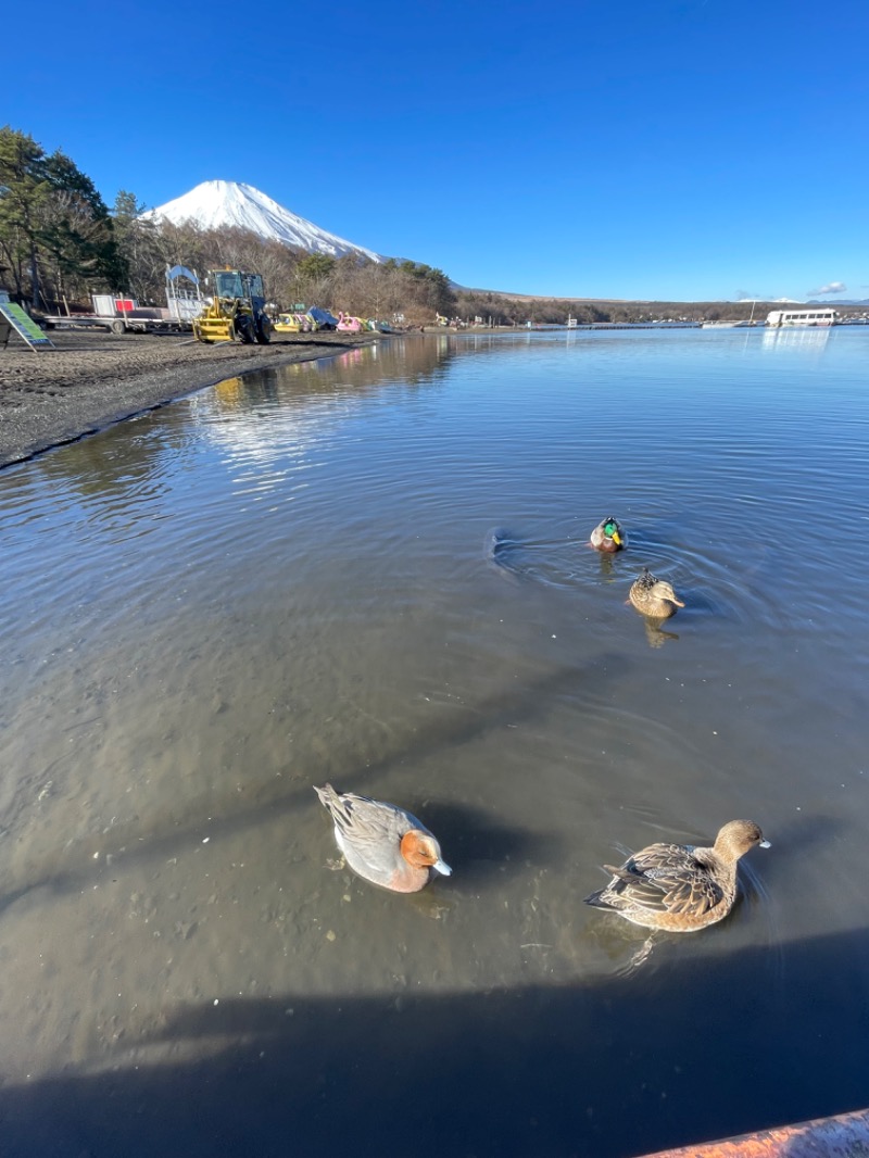 ＡＫＰさんの山梨泊まれる温泉 より道の湯のサ活写真