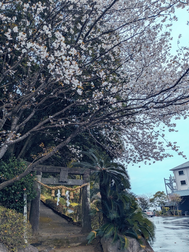 Ayurさんの有明海の湯(蟹御殿)のサ活写真