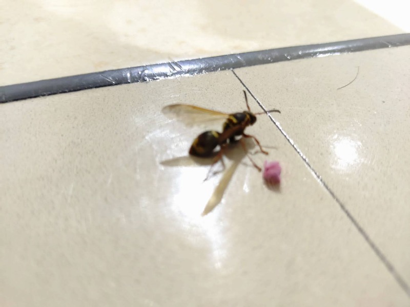 むむむさんのからんころん温泉のサ活写真