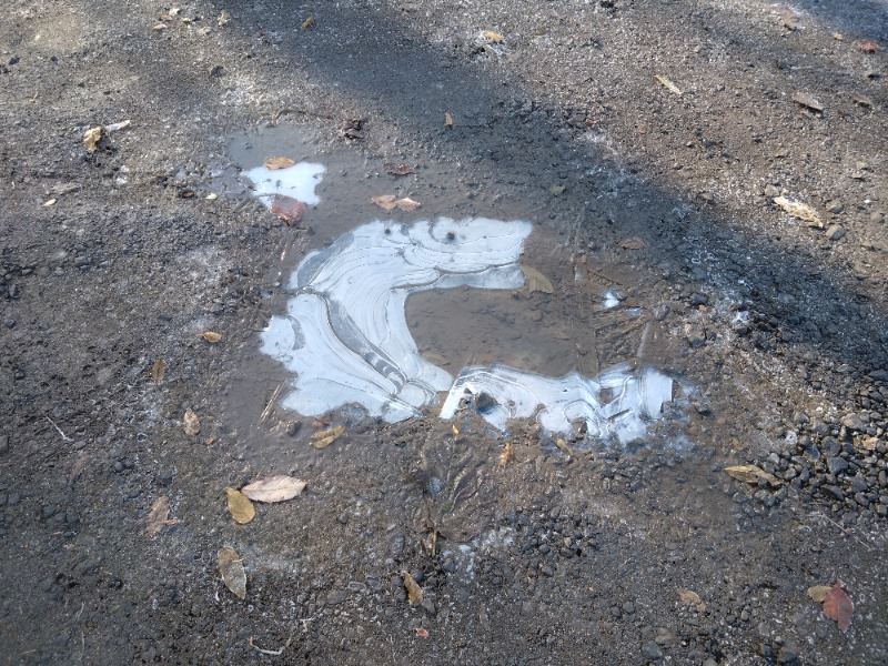 むむむさんの東北温泉のサ活写真