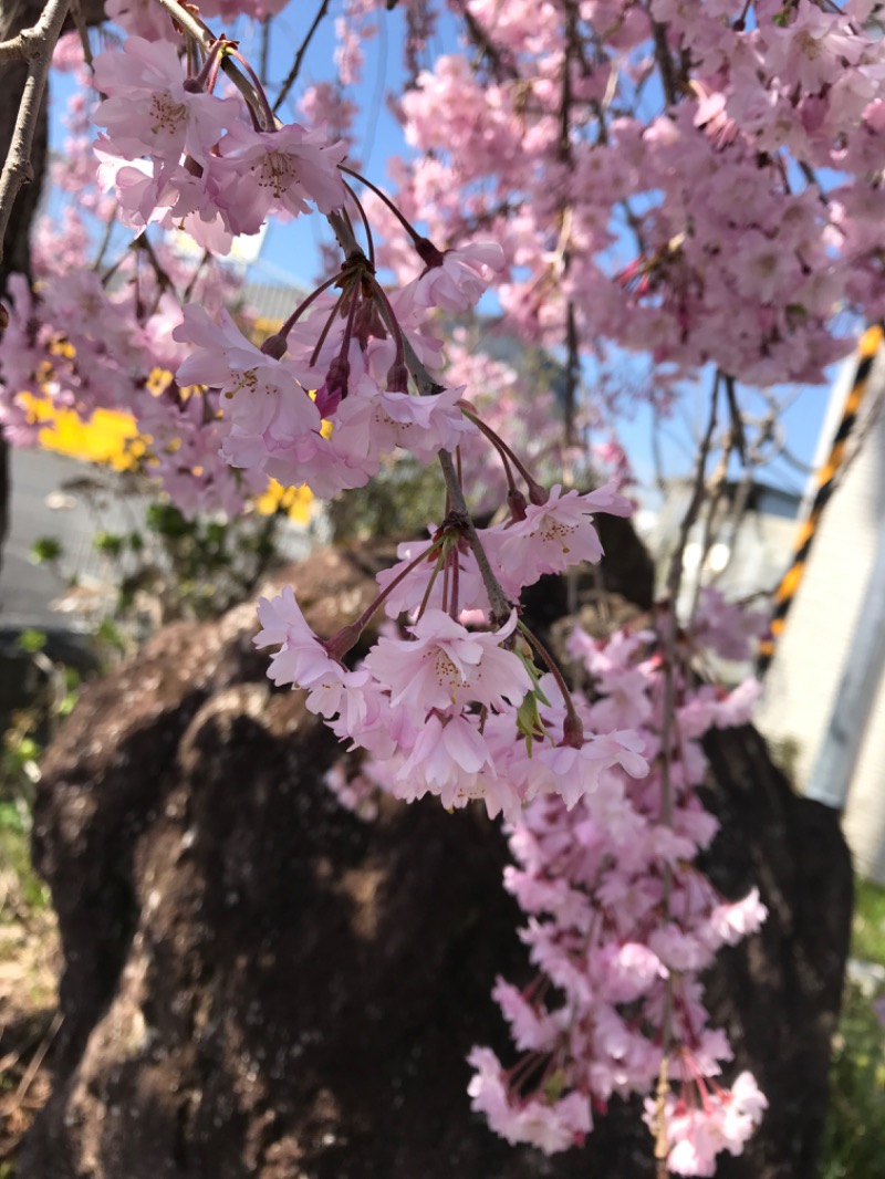 SAUNOAさんの古戦場のサ活写真