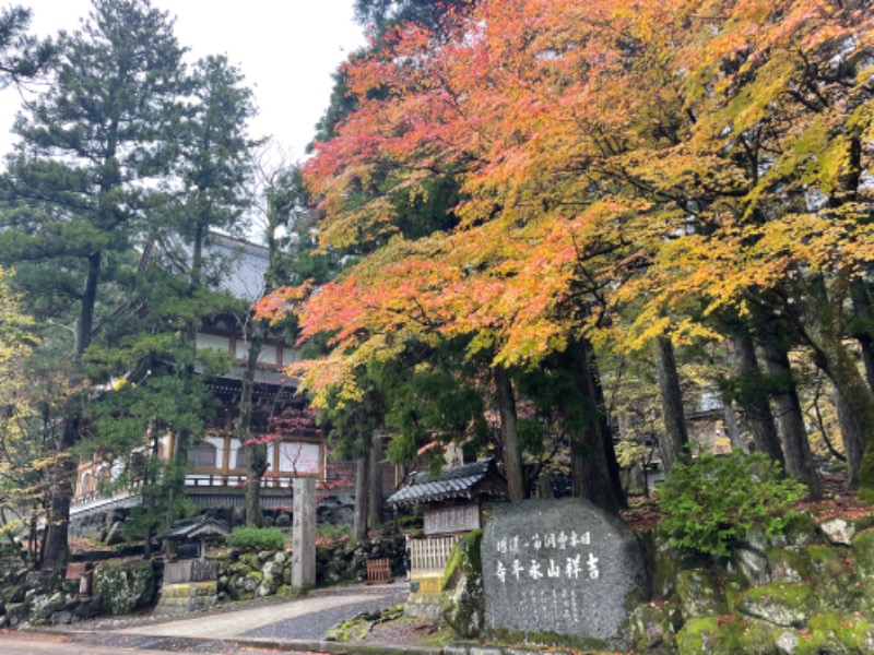 みーちん＼\\٩( 'ω' )و //／さんの極楽湯 福井店のサ活写真