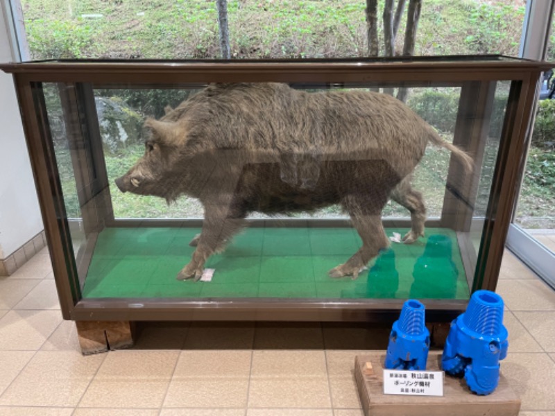 みーちん٩( 'ω' )وさんの秋山温泉のサ活写真