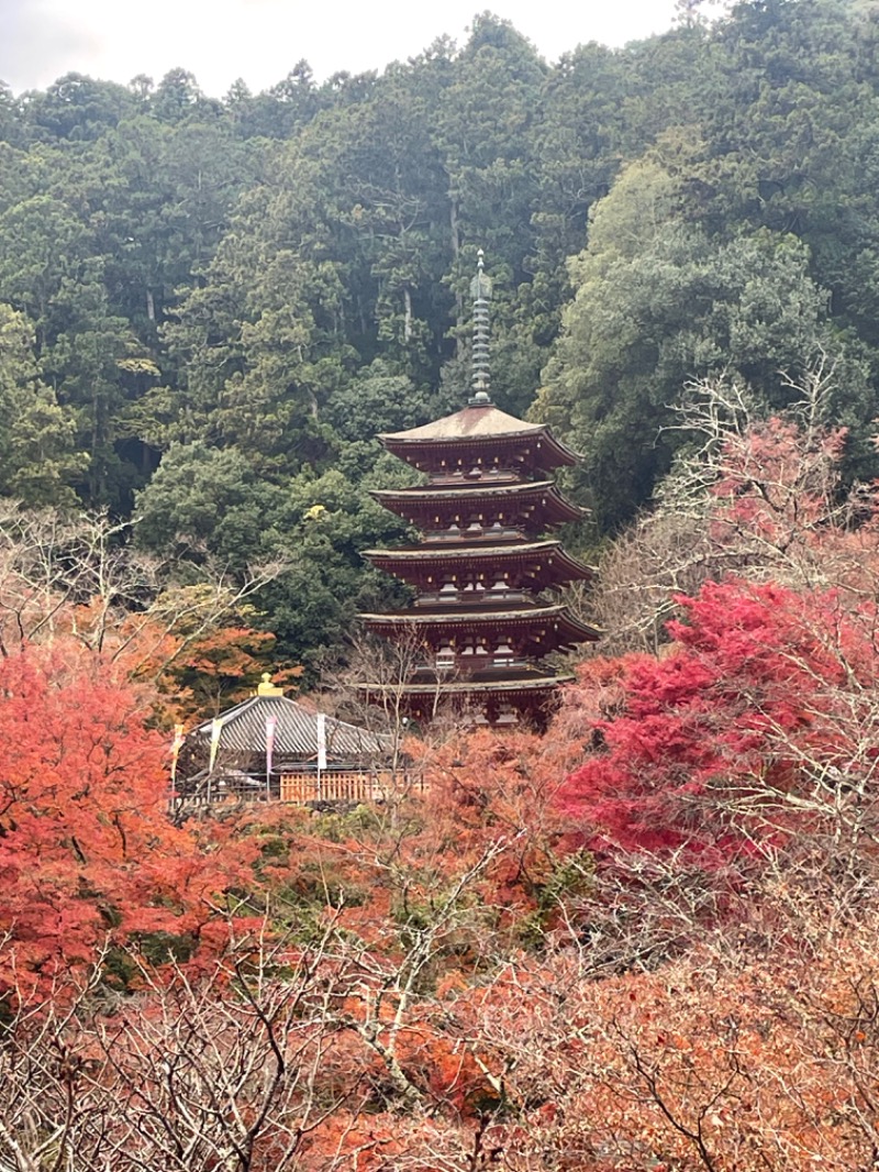 みーちん＼\\٩( 'ω' )و //／さんの大宇陀温泉あきののゆのサ活写真