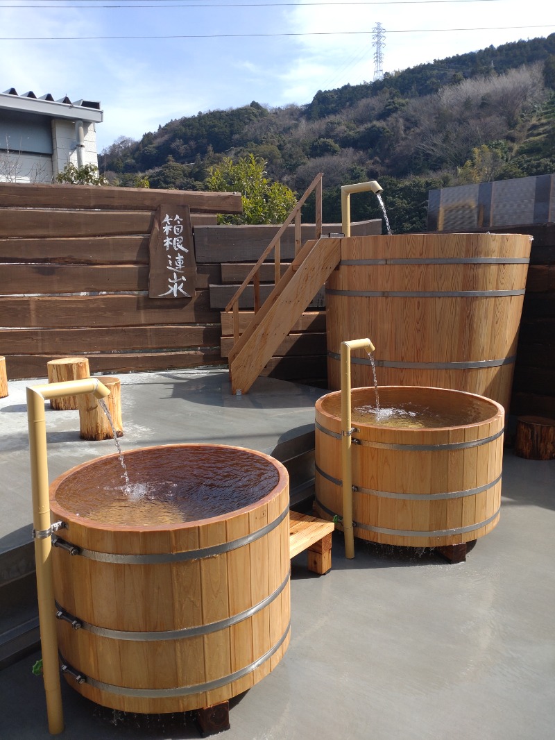 MR.SAUNAさんの山賊サウナのサ活写真