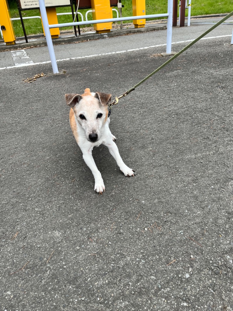 みちさんの湯殿館のサ活写真