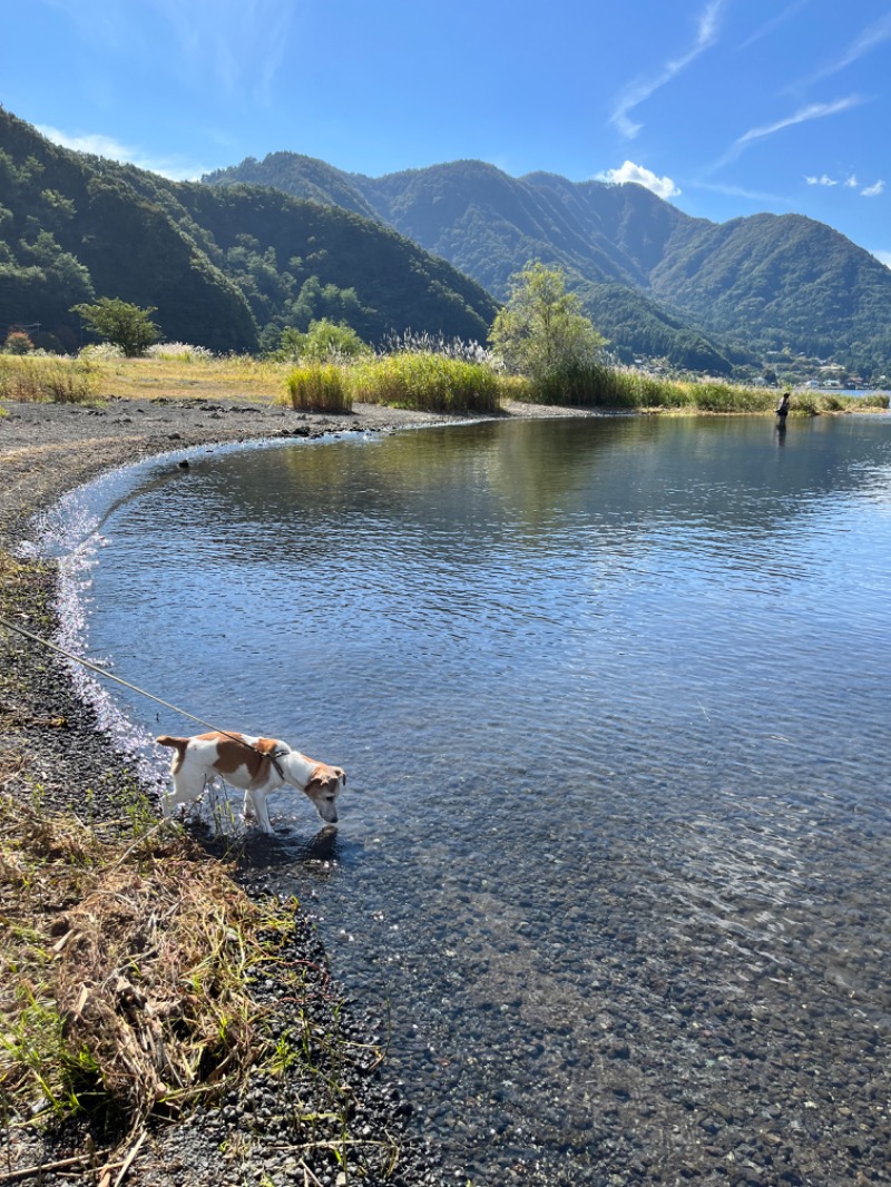 みちさんの河口湖 ホテル 桜庵のサ活写真