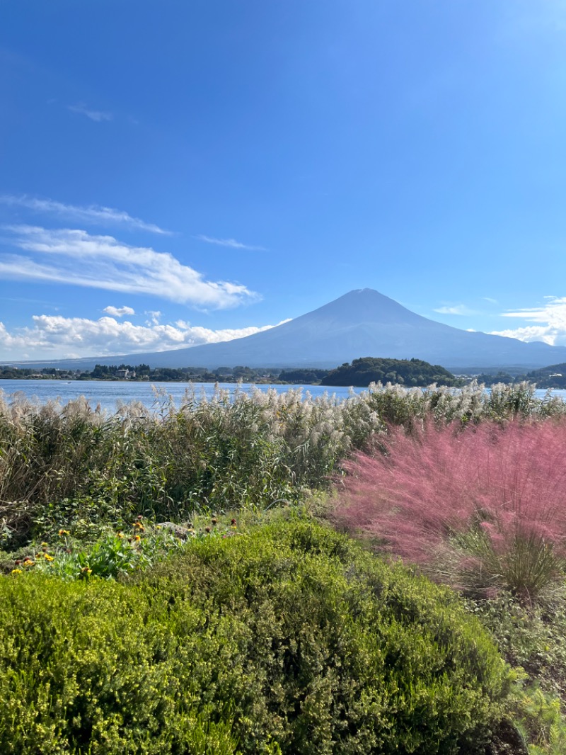 みちさんの河口湖 ホテル 桜庵のサ活写真