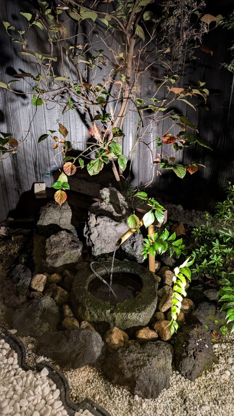 いるかさんの六花の湯 ドーミーイン熊本のサ活写真