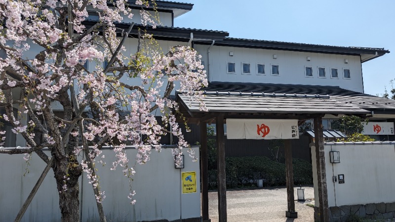 いるかさんの宮の街道温泉 江戸遊のサ活写真