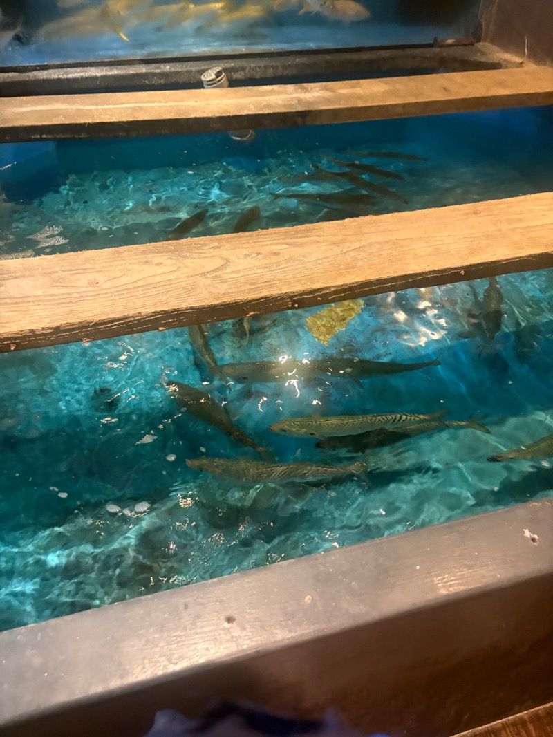 鏡さんの天然温泉 白糸の湯(ドーミーイン大分)のサ活写真