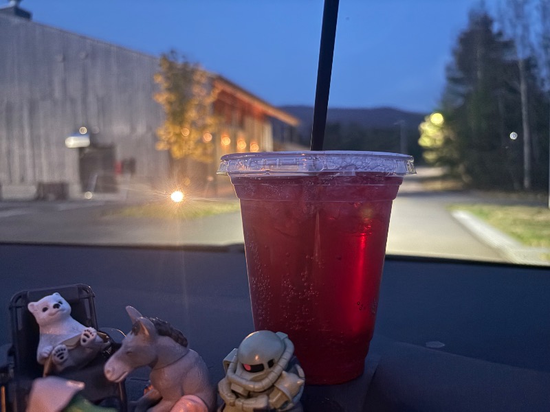 鏡さんの高源ゆのサ活写真