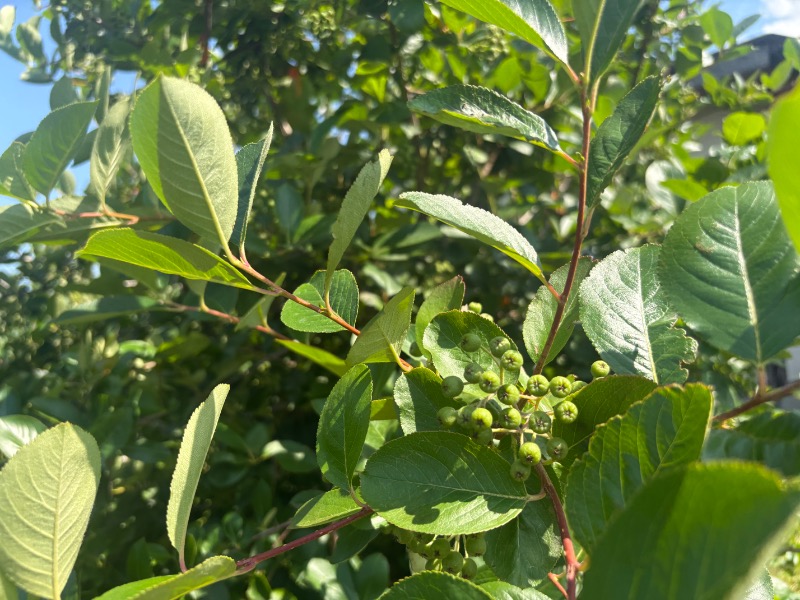 鏡さんの高源ゆのサ活写真