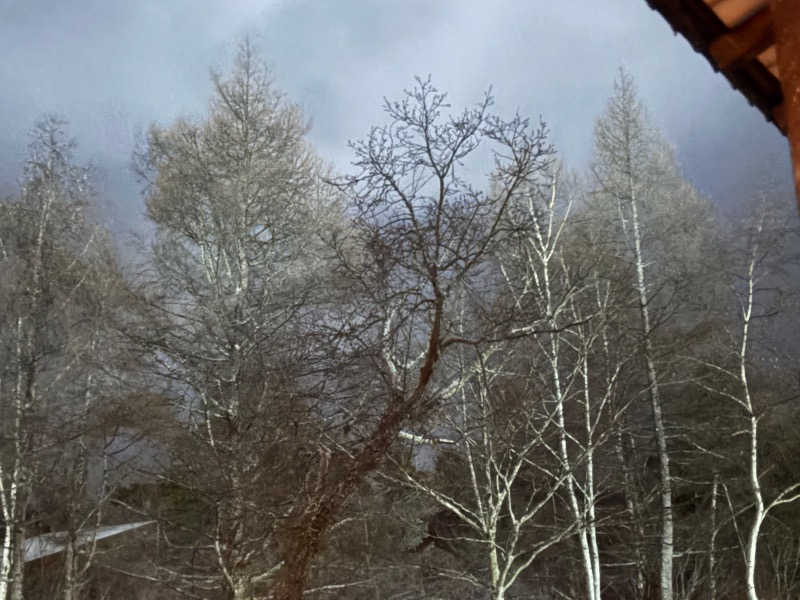 鏡さんの高源ゆのサ活写真