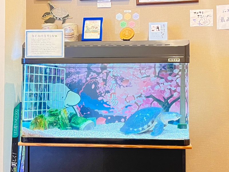 さかつ蒸し太郎さんの松本湯のサ活写真