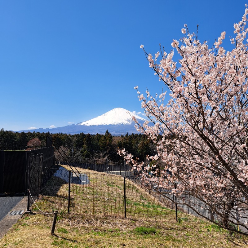 らーさんのあしがら温泉のサ活写真