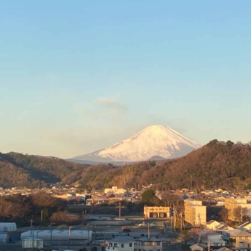 さうな坊やさんの大磯プリンスホテル THERMAL SPA S.WAVEのサ活写真