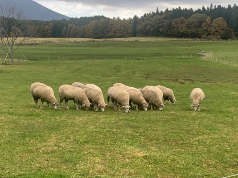 FNTさんのつなぎ温泉 ホテル紫苑のサ活写真