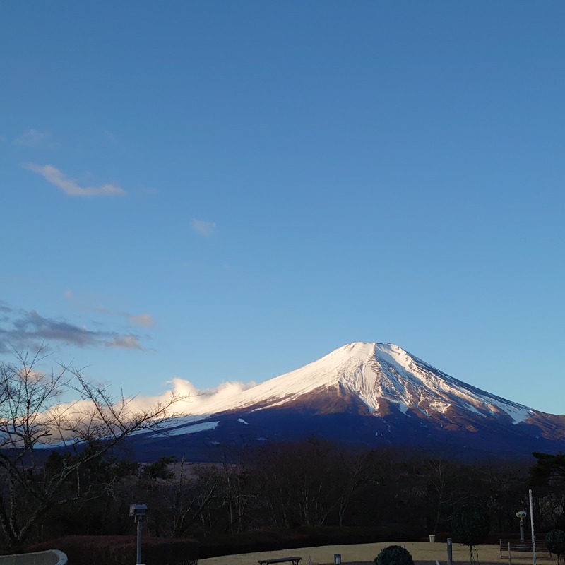 kazuzoさんのホテルマウント富士のサ活写真