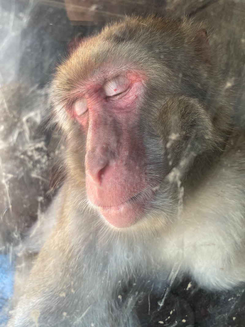 ぽてびーさんのOMO7旭川(おも) by 星野リゾート サウナプラトーのサ活写真