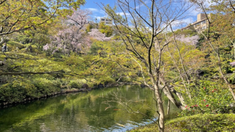 つめがあまちゃんねるさんのアクアガーデン三越湯のサ活写真