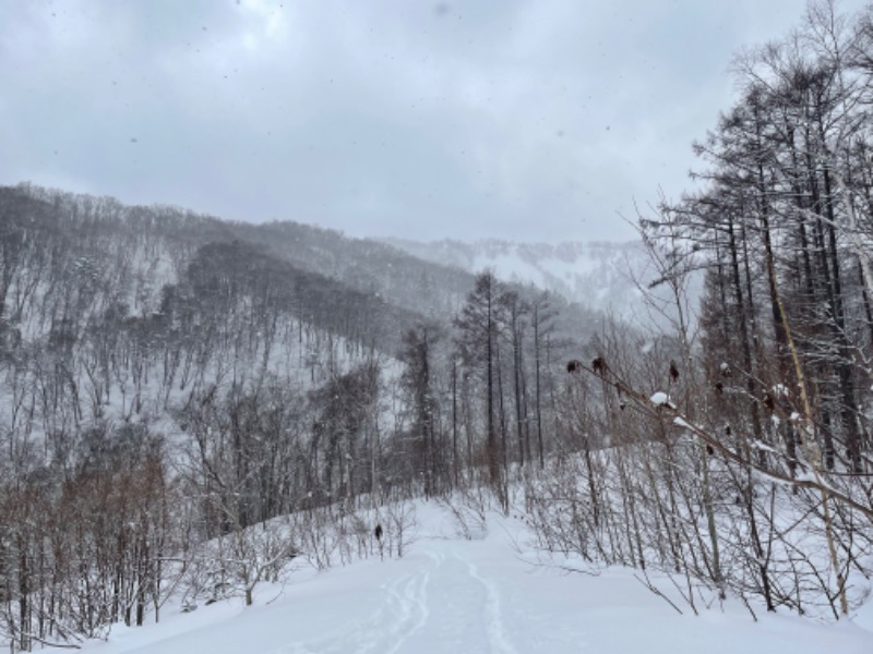 307530さんのていね温泉ほのかのサ活写真