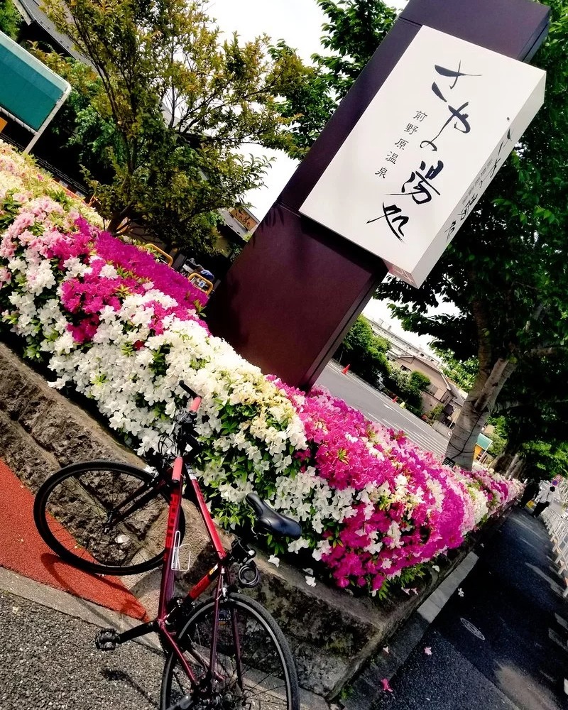 たけしさんの前野原温泉 さやの湯処のサ活写真