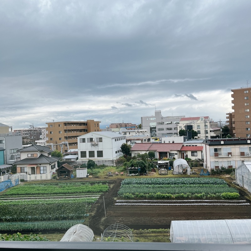 ちえさんの東京・湯河原温泉 万葉の湯のサ活写真