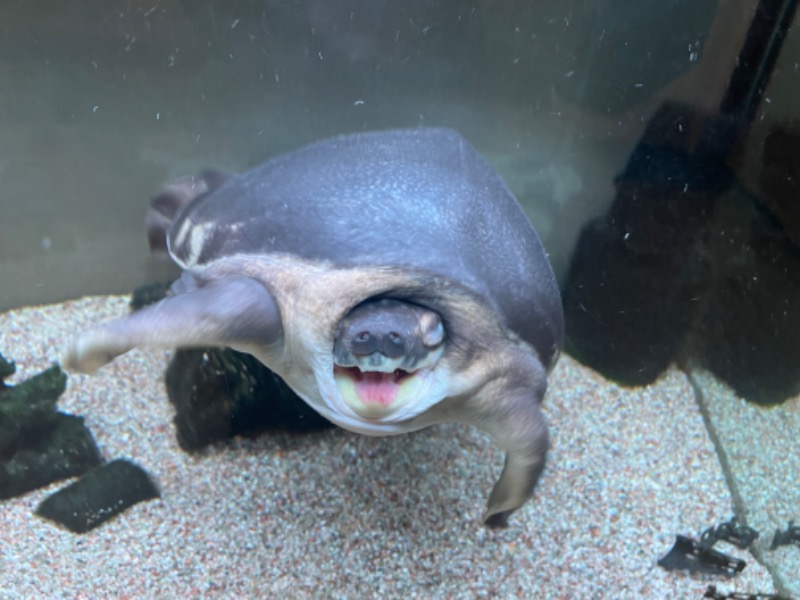 ゆっきー🐼さんの松本湯のサ活写真