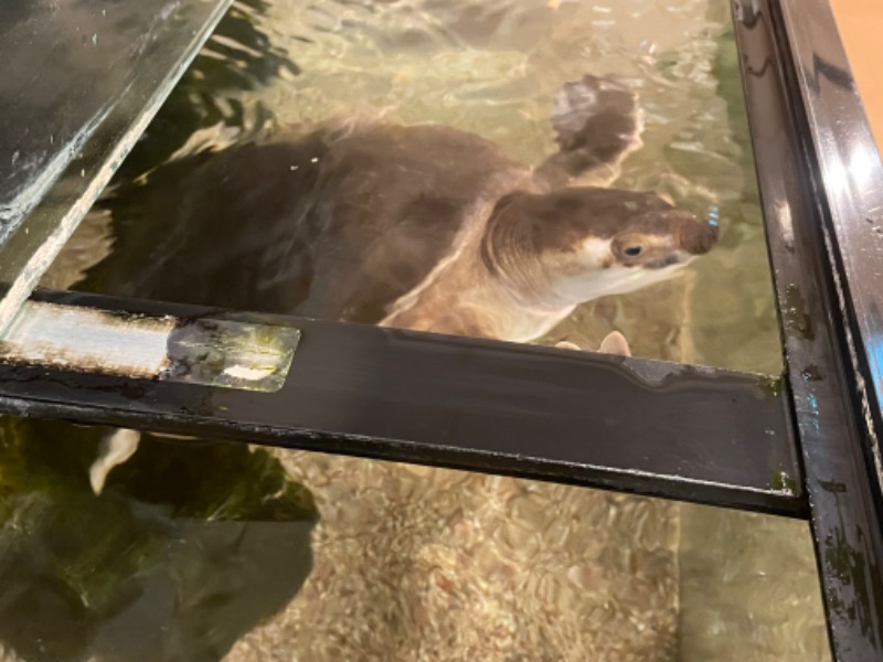 ゆっきー🐼さんの松本湯のサ活写真