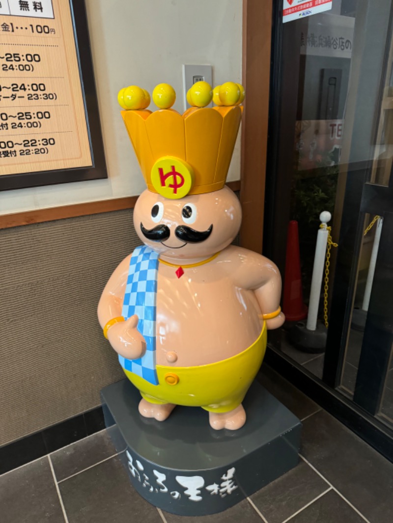 おやかたさんのおふろの王様 瀬谷店のサ活写真