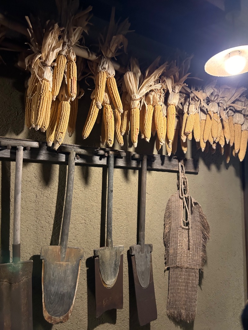 えのさんの野天スパ 十界の湯 ※旧:延羽の湯 野天 閑雅山荘のサ活写真