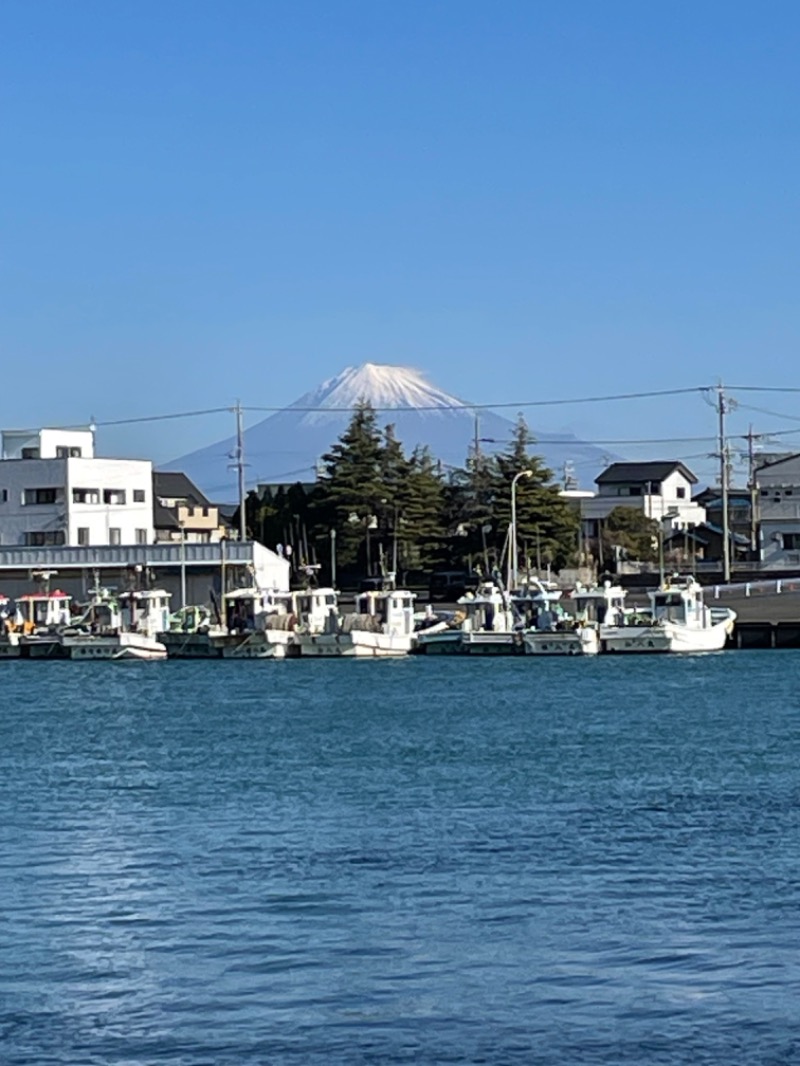 にゃきにゃんさんの用宗みなと温泉のサ活写真