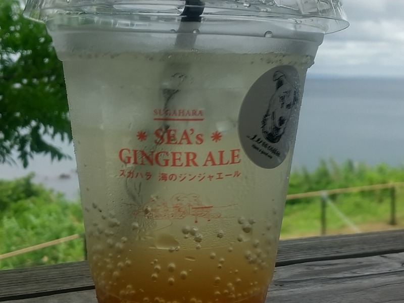 海のジンジャーエール