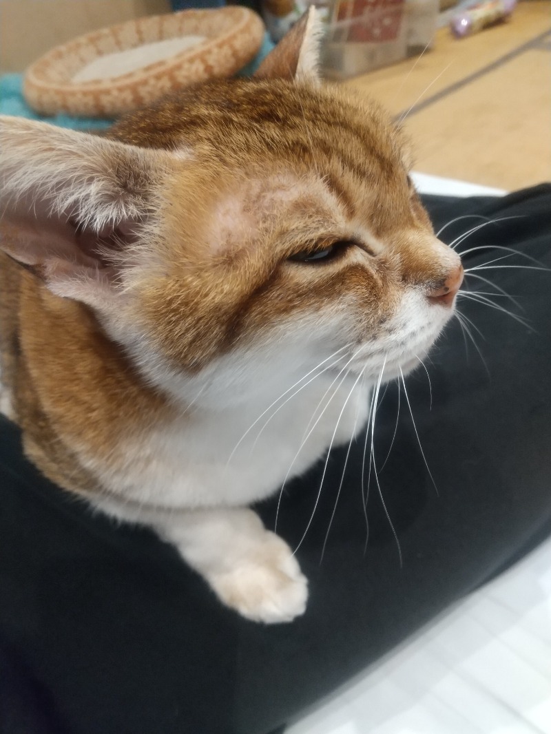 いせっち🦁霸氣稱王さんのジェクサー・ライトジム&スパ24仙台のサ活写真