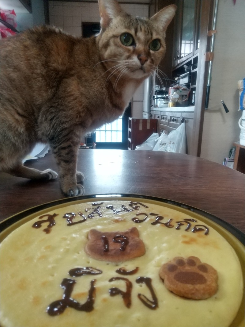 いせっち🐵轟紅不讓さんのジェクサー・ライトジム&スパ24仙台のサ活写真