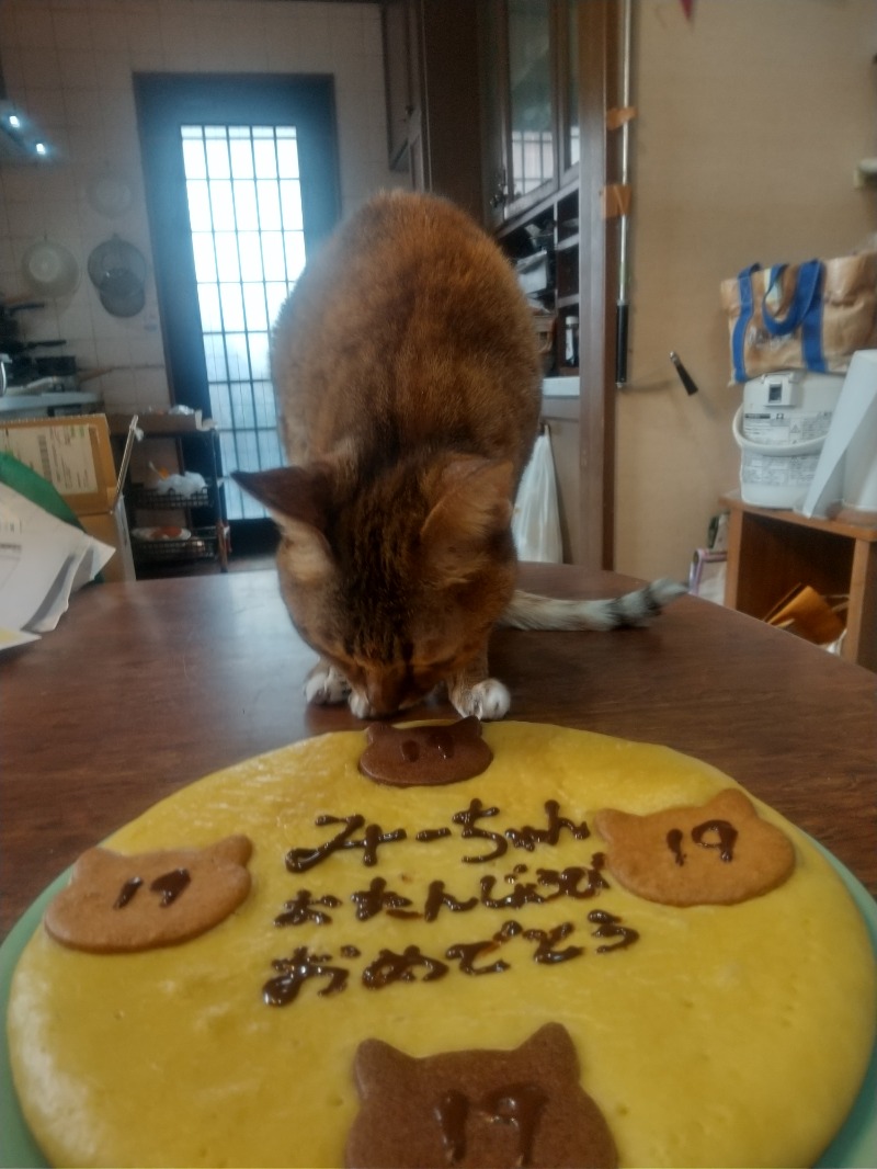 いせっち🐵轟紅不讓さんのジェクサー・ライトジム&スパ24仙台のサ活写真